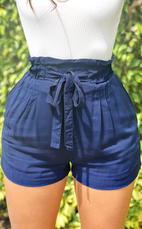 Surfside Linen Blend Shorts Navy